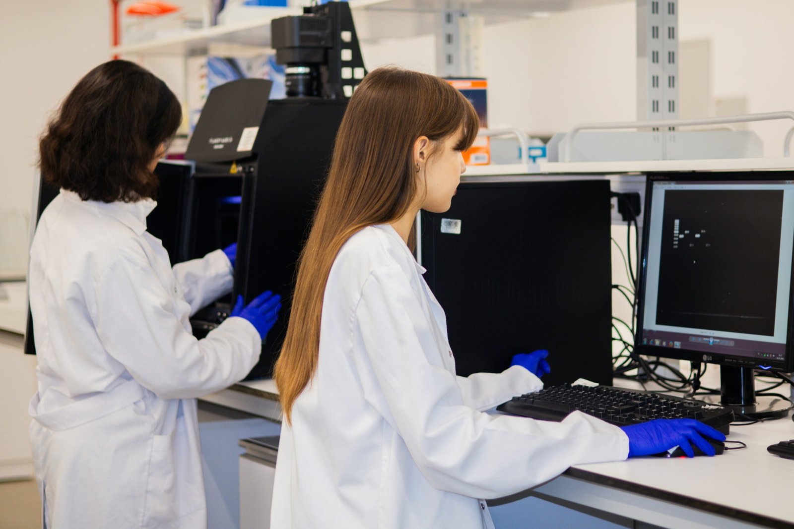 lab