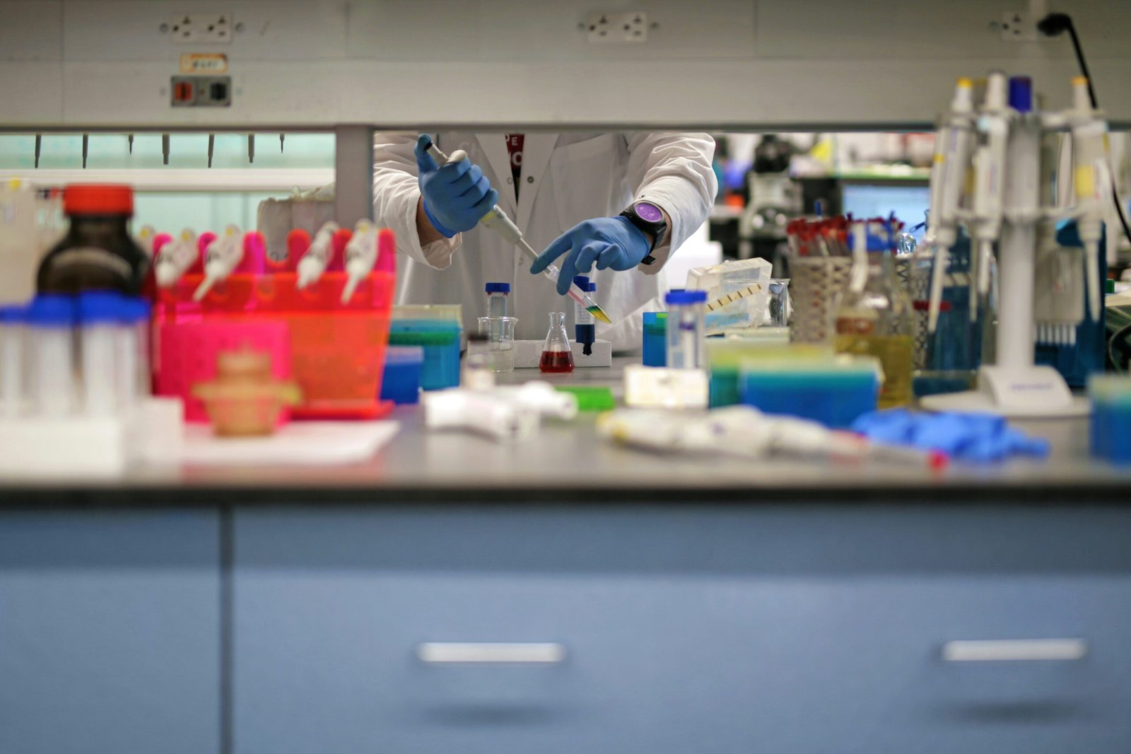 lab